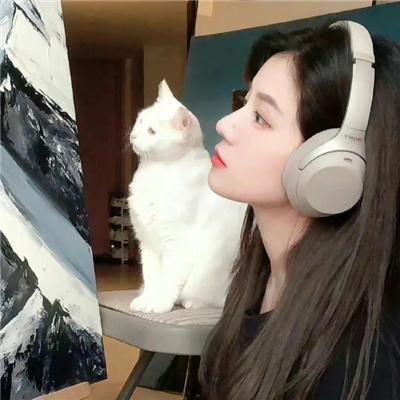 风云之决战光明顶